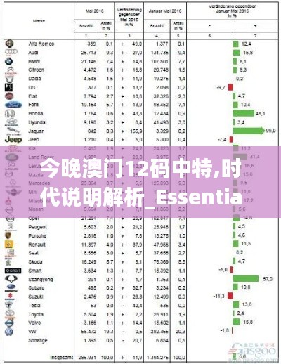 今晚澳门12码中特,时代说明解析_Essential1.397