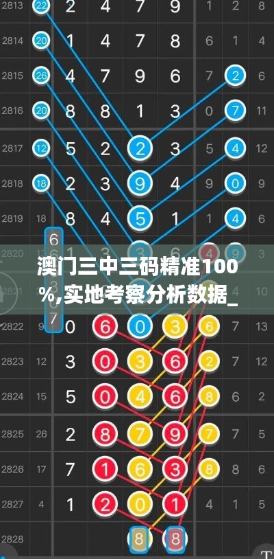 澳门三中三码精准100%,实地考察分析数据_安卓款7.894