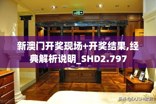 新澳门开奖现场+开奖结果,经典解析说明_SHD2.797