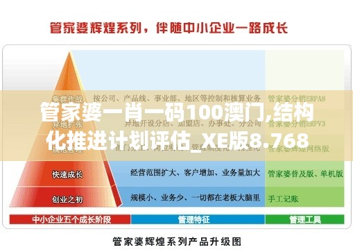 管家婆一肖一码100澳门,结构化推进计划评估_XE版8.768