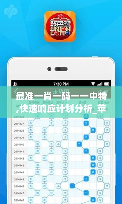 最准一肖一码一一中特,快速响应计划分析_苹果版7.447