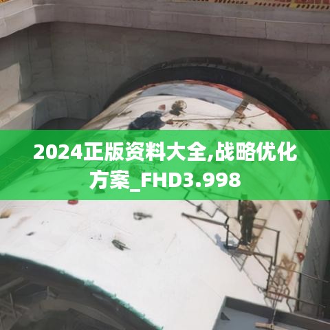 2024正版资料大全,战略优化方案_FHD3.998