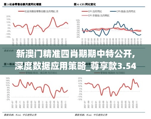 新澳门精准四肖期期中特公开,深度数据应用策略_尊享款3.542