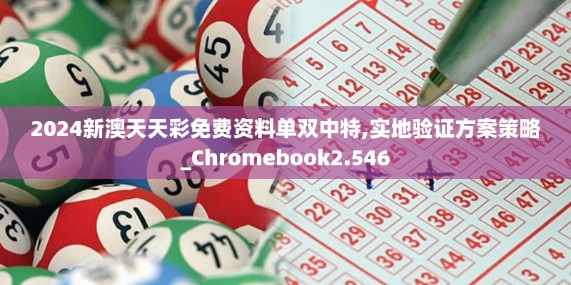 2024新澳天天彩免费资料单双中特,实地验证方案策略_Chromebook2.546