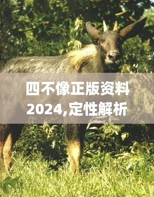 四不像正版资料2024,定性解析说明_XR8.843