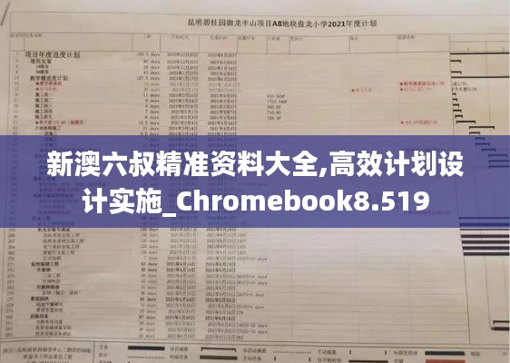 新澳六叔精准资料大全,高效计划设计实施_Chromebook8.519