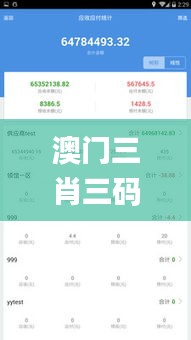 澳门三肖三码精准100%管家婆,多元方案执行策略_ChromeOS8.256