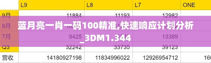 蓝月亮一肖一码100精准,快速响应计划分析_3DM1.344