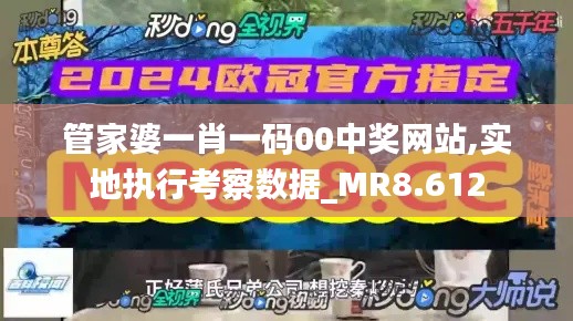 管家婆一肖一码00中奖网站,实地执行考察数据_MR8.612