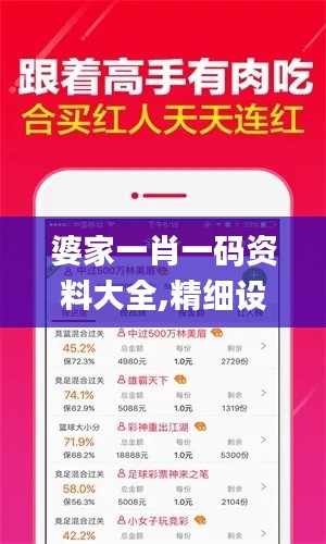 婆家一肖一码资料大全,精细设计策略_7DM13.946