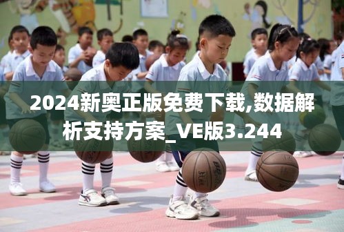 2024新奥正版免费下载,数据解析支持方案_VE版3.244