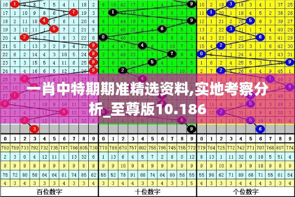 一肖中特期期准精选资料,实地考察分析_至尊版10.186