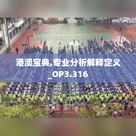 港澳宝典,专业分析解释定义_OP3.316