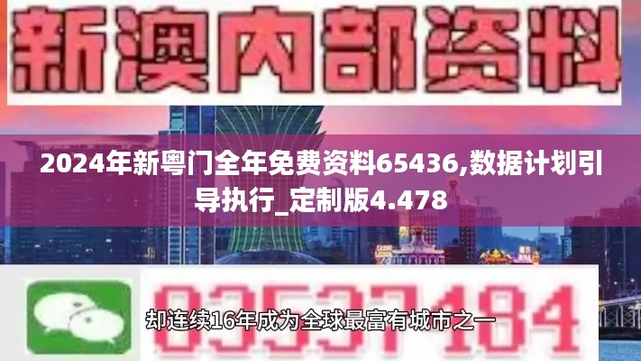 2024年新粤门全年免费资料65436,数据计划引导执行_定制版4.478