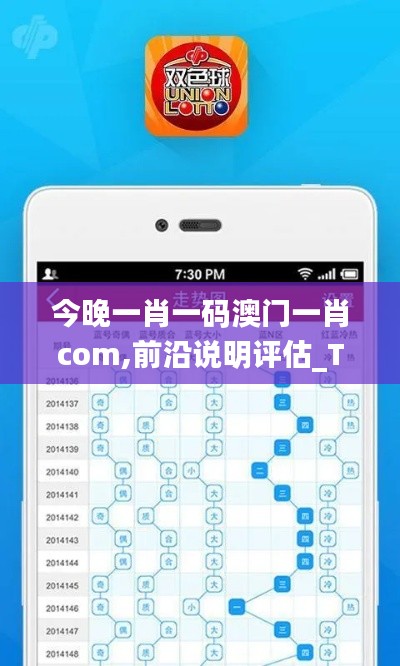 今晚一肖一码澳门一肖com,前沿说明评估_Tablet10.305