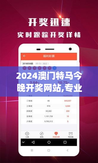 2024澳门特马今晚开奖网站,专业解答解释定义_Pixel1.389