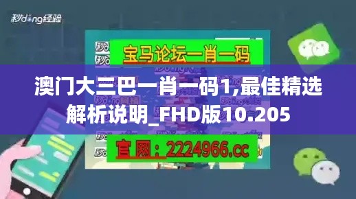 澳门大三巴一肖一码1,最佳精选解析说明_FHD版10.205