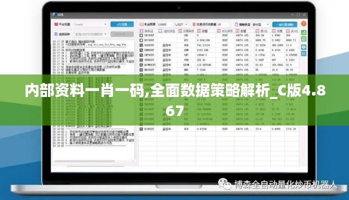 内部资料一肖一码,全面数据策略解析_C版4.867