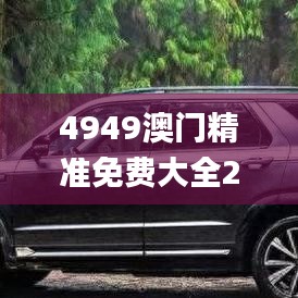 4949澳门精准免费大全2023,精确数据解析说明_N版5.893