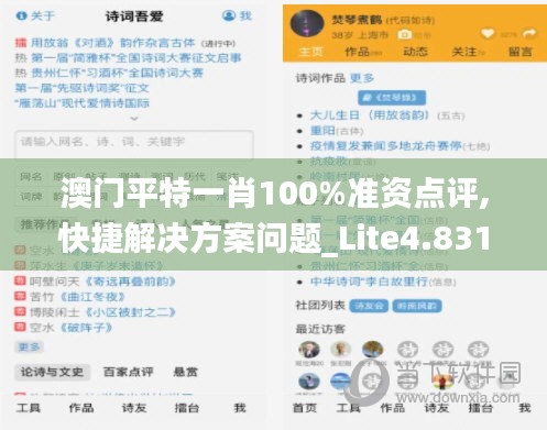 澳门平特一肖100%准资点评,快捷解决方案问题_Lite4.831