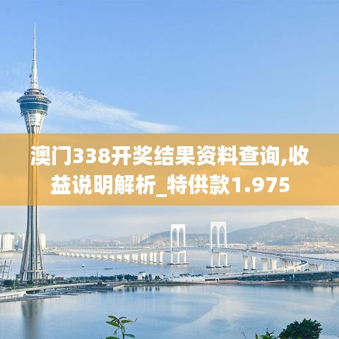 澳门338开奖结果资料查询,收益说明解析_特供款1.975