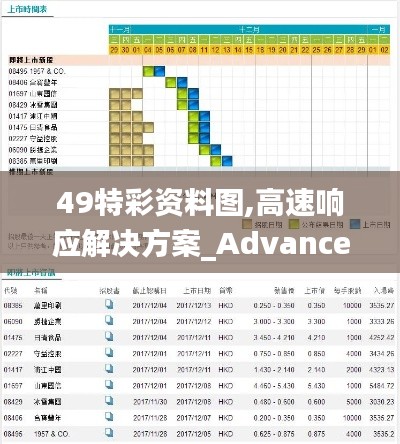 49特彩资料图,高速响应解决方案_Advance15.737