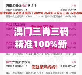 澳门三肖三码精准100%新华字典,数据解析支持计划_eShop5.744