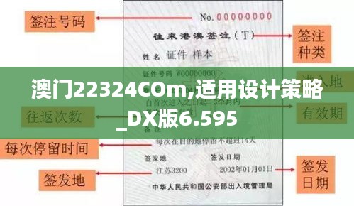 澳门22324COm,适用设计策略_DX版6.595