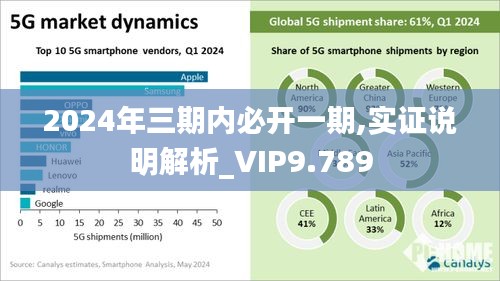 2024年三期内必开一期,实证说明解析_VIP9.789