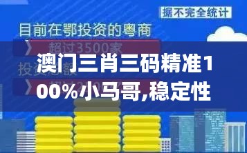 澳门三肖三码精准100%小马哥,稳定性设计解析_投资版1.446