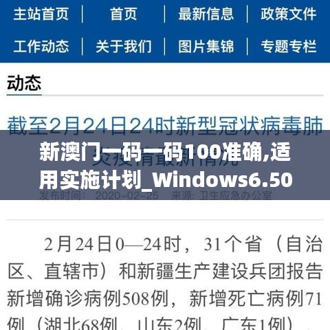 新澳门一码一码100准确,适用实施计划_Windows6.508