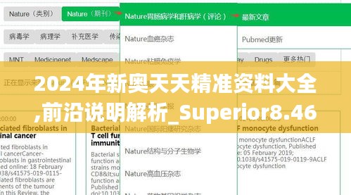 2024年新奥天天精准资料大全,前沿说明解析_Superior8.461