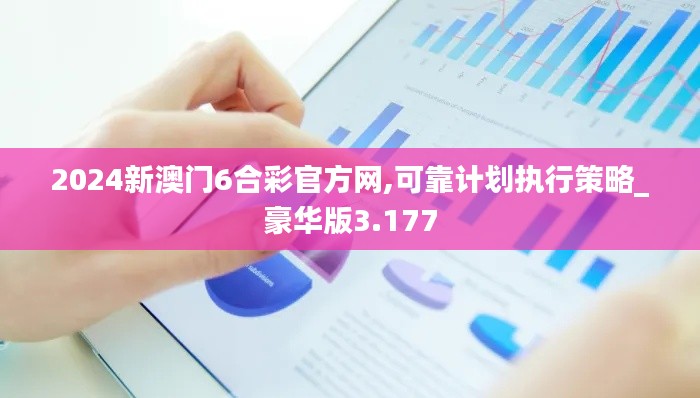 2024新澳门6合彩官方网,可靠计划执行策略_豪华版3.177