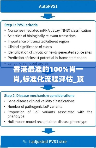 香港最准的100%肖一肖,标准化流程评估_顶级版2.728