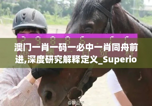 澳门一肖一码一必中一肖同舟前进,深度研究解释定义_Superior9.298