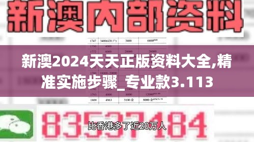 新澳2024天天正版资料大全,精准实施步骤_专业款3.113