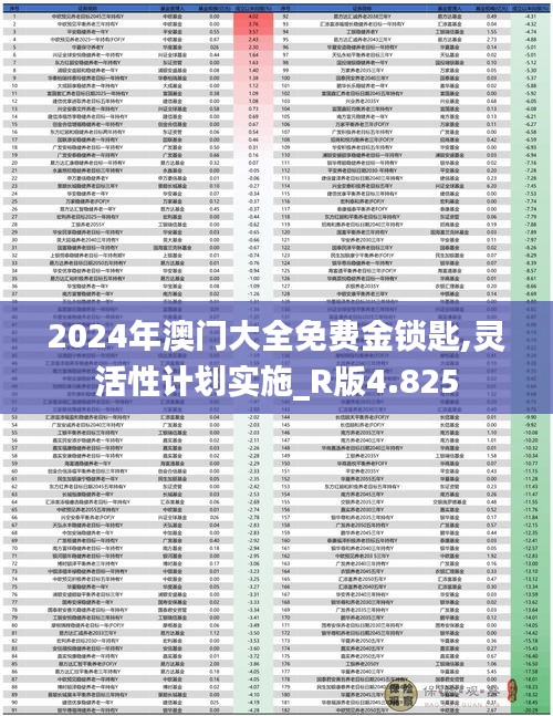 2024年澳门大全免费金锁匙,灵活性计划实施_R版4.825