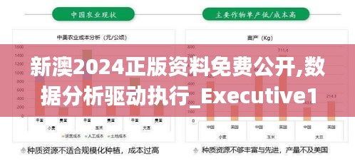 新澳2024正版资料免费公开,数据分析驱动执行_Executive14.215