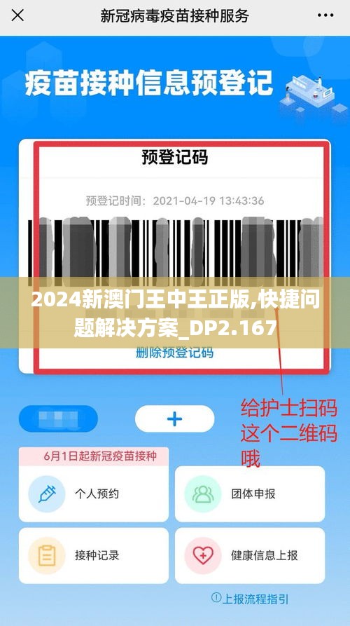 2024新澳门王中王正版,快捷问题解决方案_DP2.167