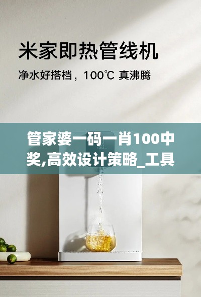 管家婆一码一肖100中奖,高效设计策略_工具版2.874