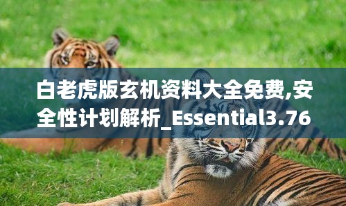 白老虎版玄机资料大全免费,安全性计划解析_Essential3.764