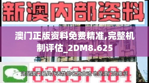 澳门正版资料免费精准,完整机制评估_2DM8.625