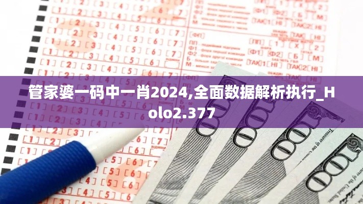 管家婆一码中一肖2024,全面数据解析执行_Holo2.377