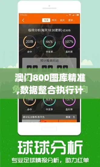 澳门800图库精准,数据整合执行计划_创意版5.211