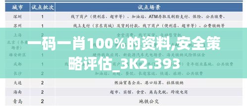 一码一肖100%的资料,安全策略评估_3K2.393