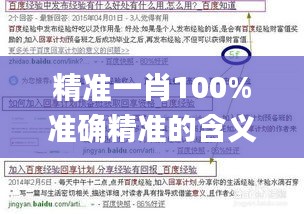 精准一肖100%准确精准的含义,适用性计划解读_Surface8.590