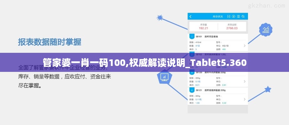 管家婆一肖一码100,权威解读说明_Tablet5.360