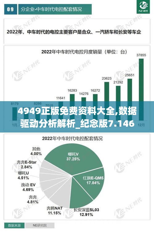 4949正版免费资料大全,数据驱动分析解析_纪念版7.146