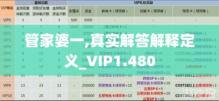 管家婆一,真实解答解释定义_VIP1.480