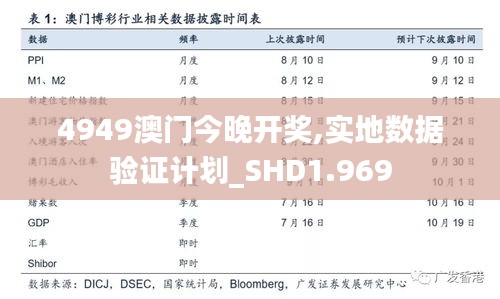 4949澳门今晚开奖,实地数据验证计划_SHD1.969